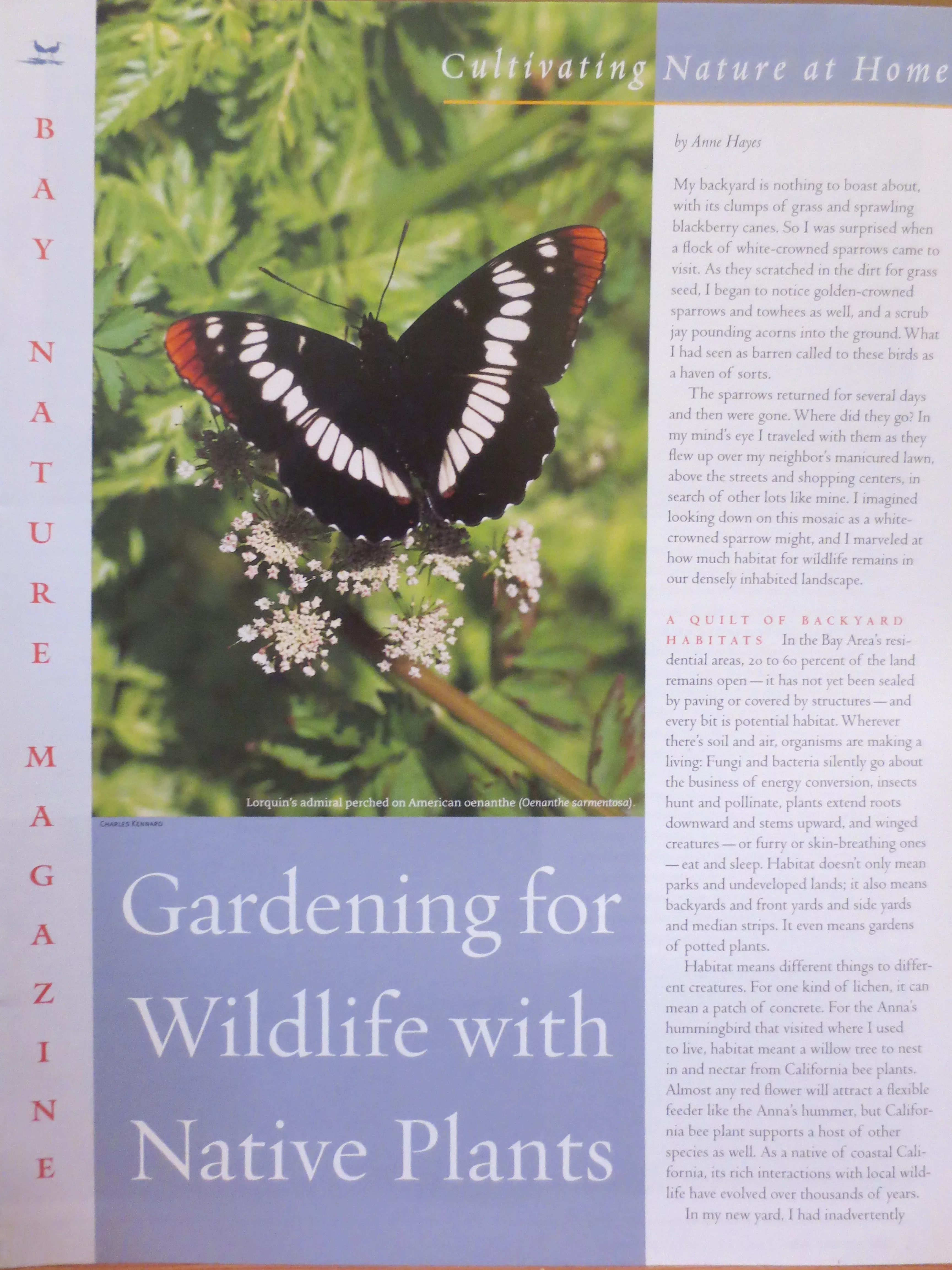 gardening-wildlife-with-native-plants Gardening for Wildlife with Native Plants