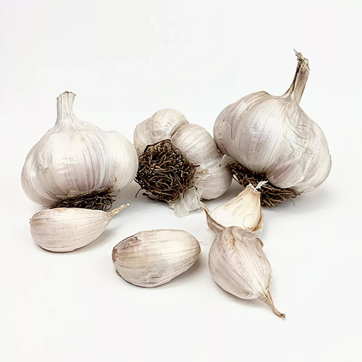 garlic-softneck-asiatic-spring-violet Garlic - Softneck - Asiatic Spring Violet