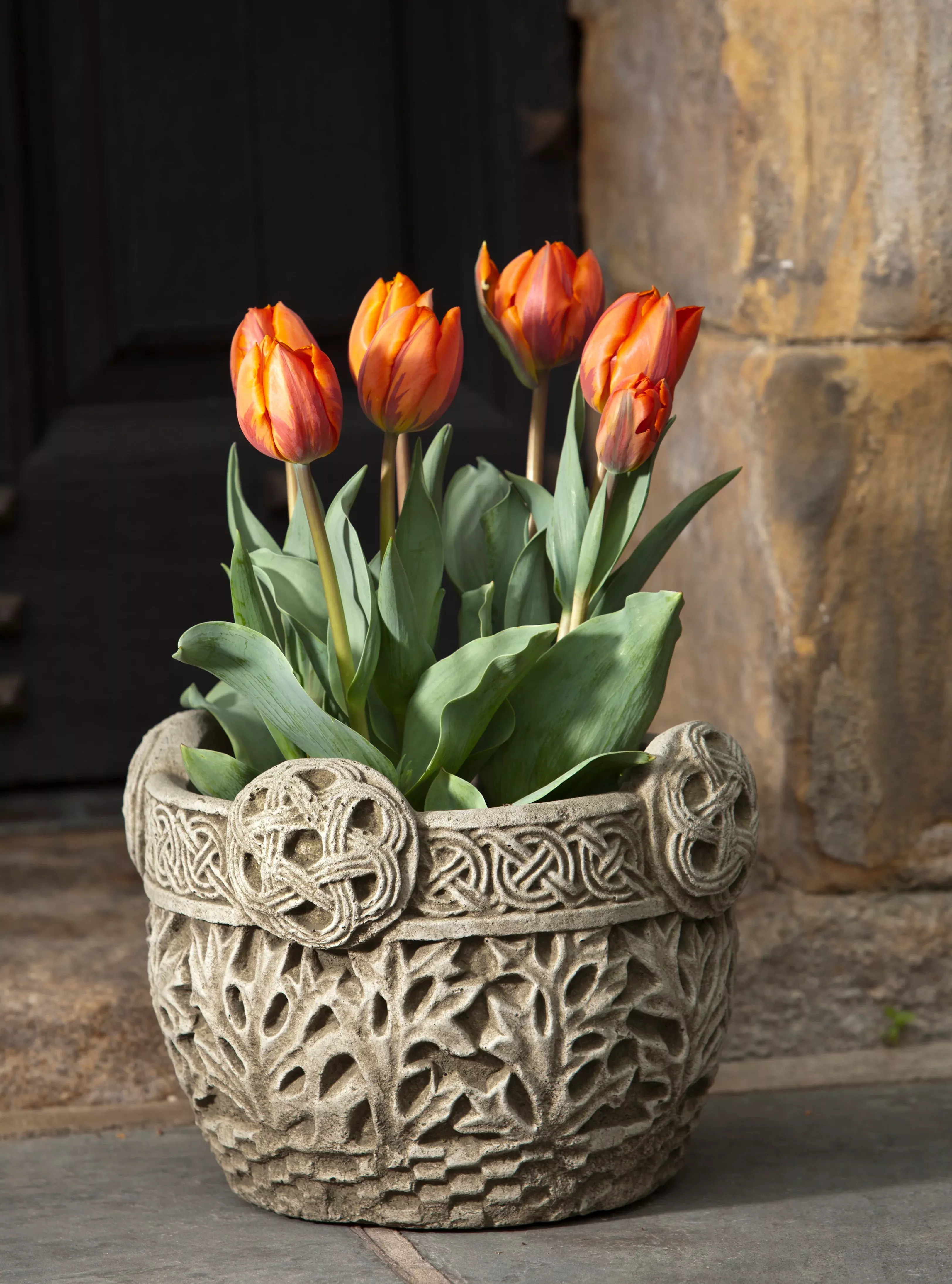 Garth Planter by Campania International