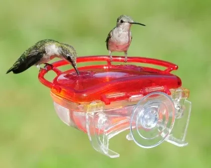gem-window-hummingbird-feeder Gem Window Hummingbird Feeder