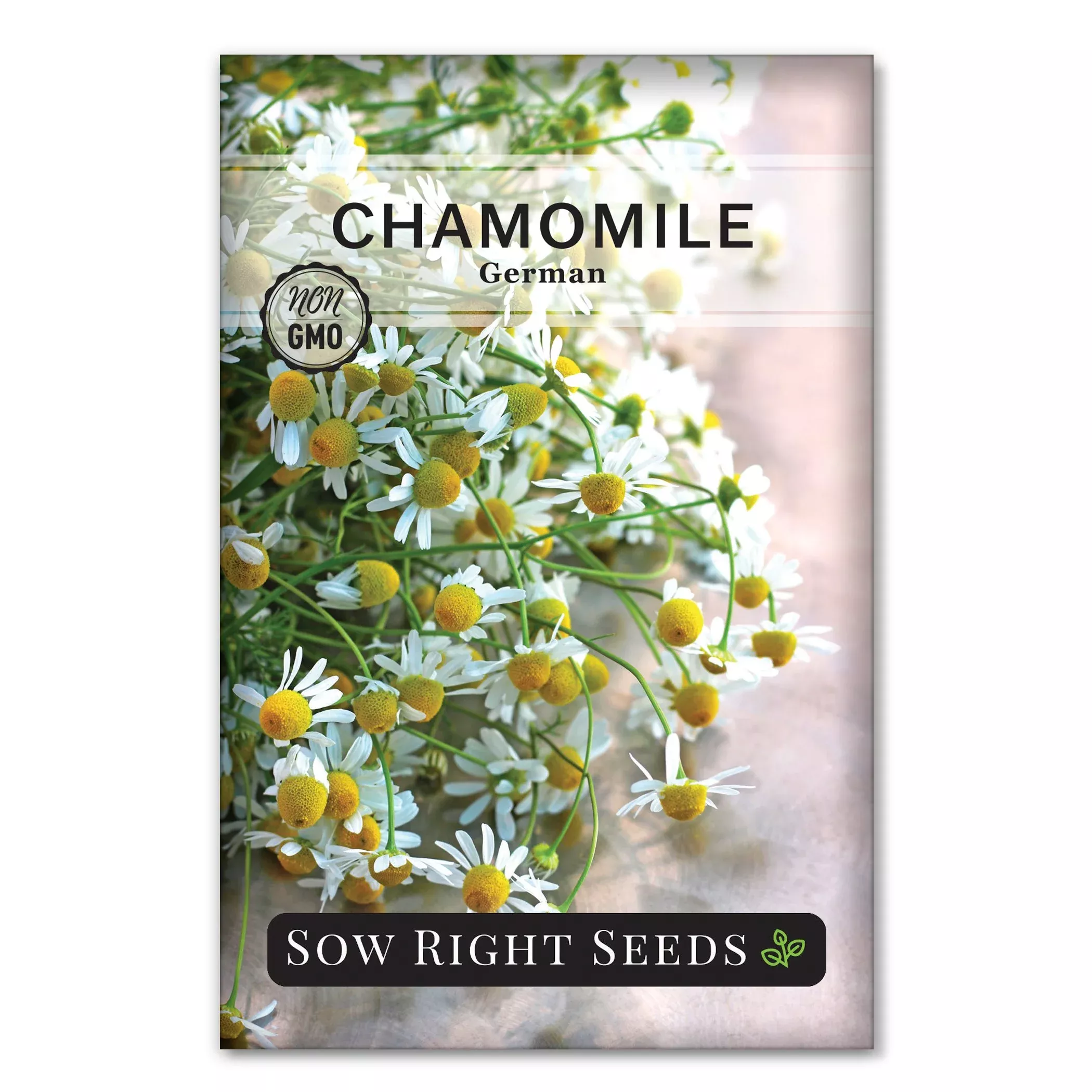 german-chamomile German Chamomile