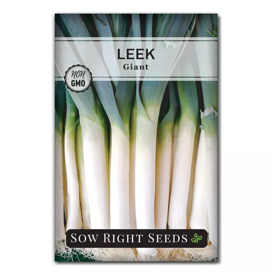 giant-leek Giant Leek