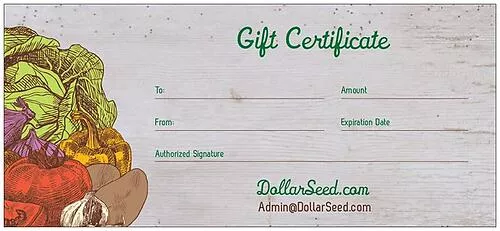 Gift Certificates