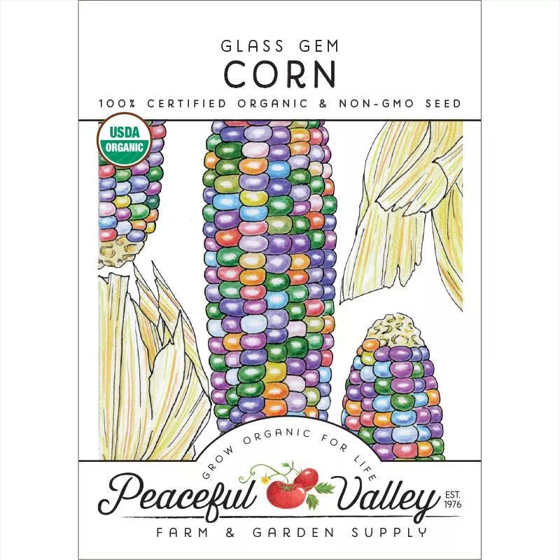 glass-gem-corn-seeds-organic Glass Gem Corn Seeds (Organic)
