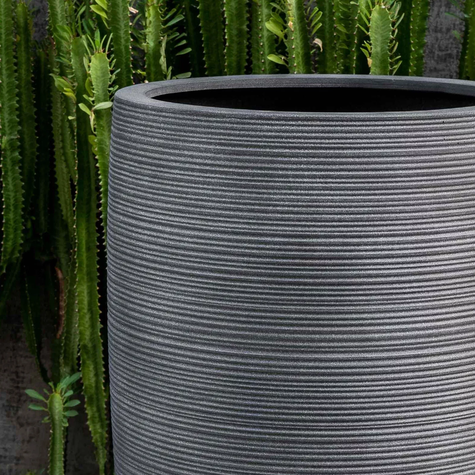 Glenmoore Planter by Campania International