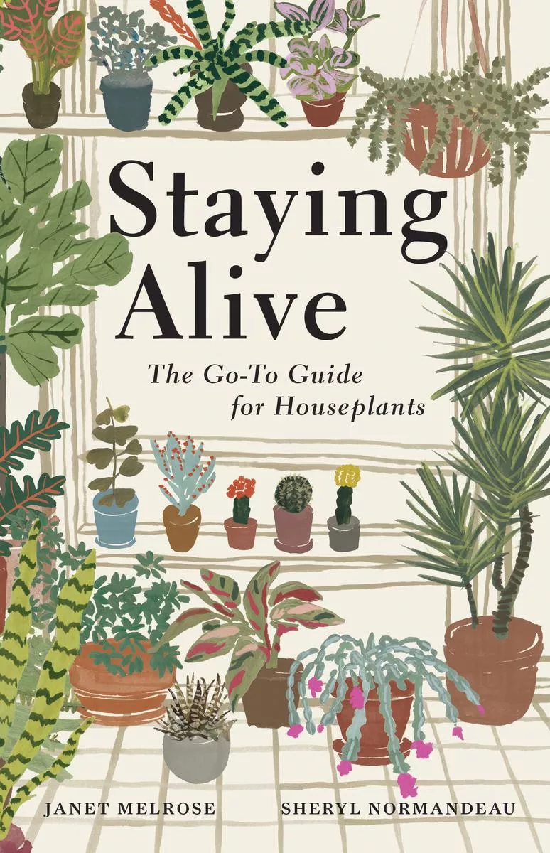 The Go-To Guide for Houseplants 'Staying Alive'