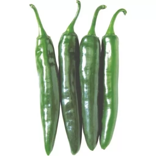 Gochu Vita Green Pepper Seeds