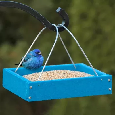 Going Green Tray Feeder