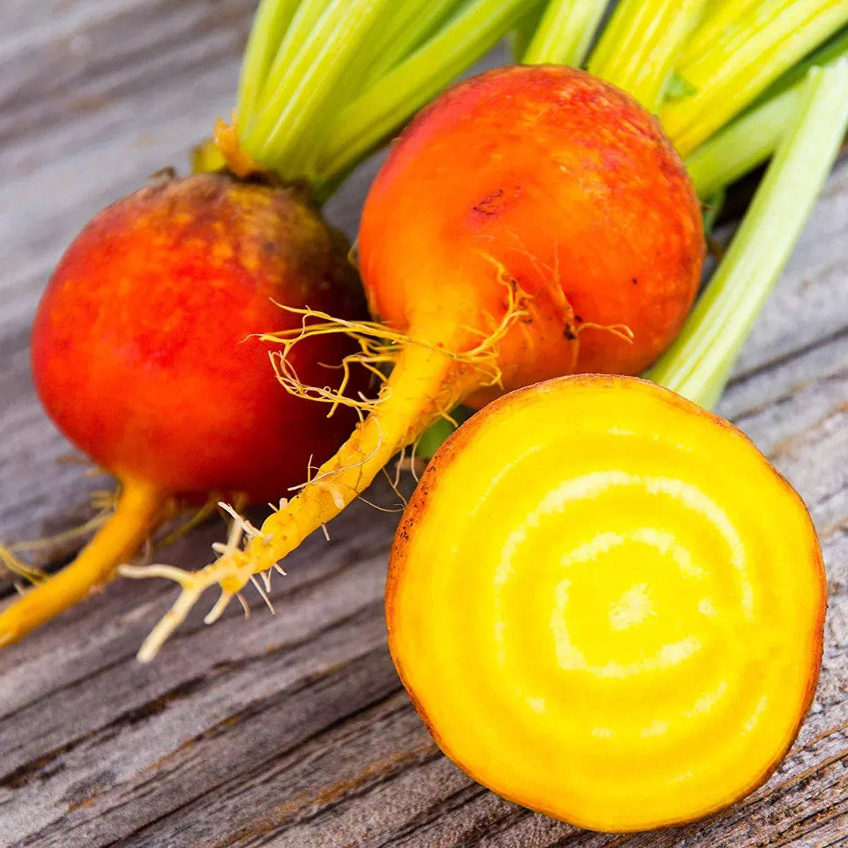 golden-beet Golden Beet