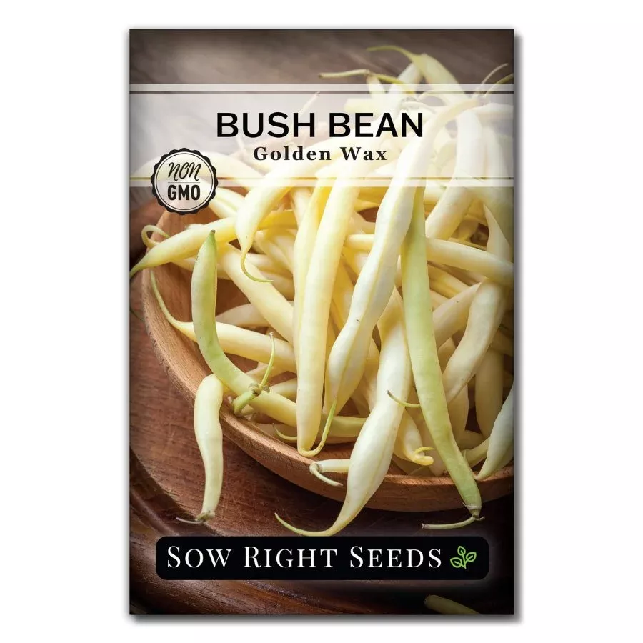 golden-wax-bean-seeds Golden Wax Bean Seeds