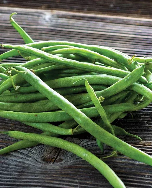 goliath-bean Goliath Bean