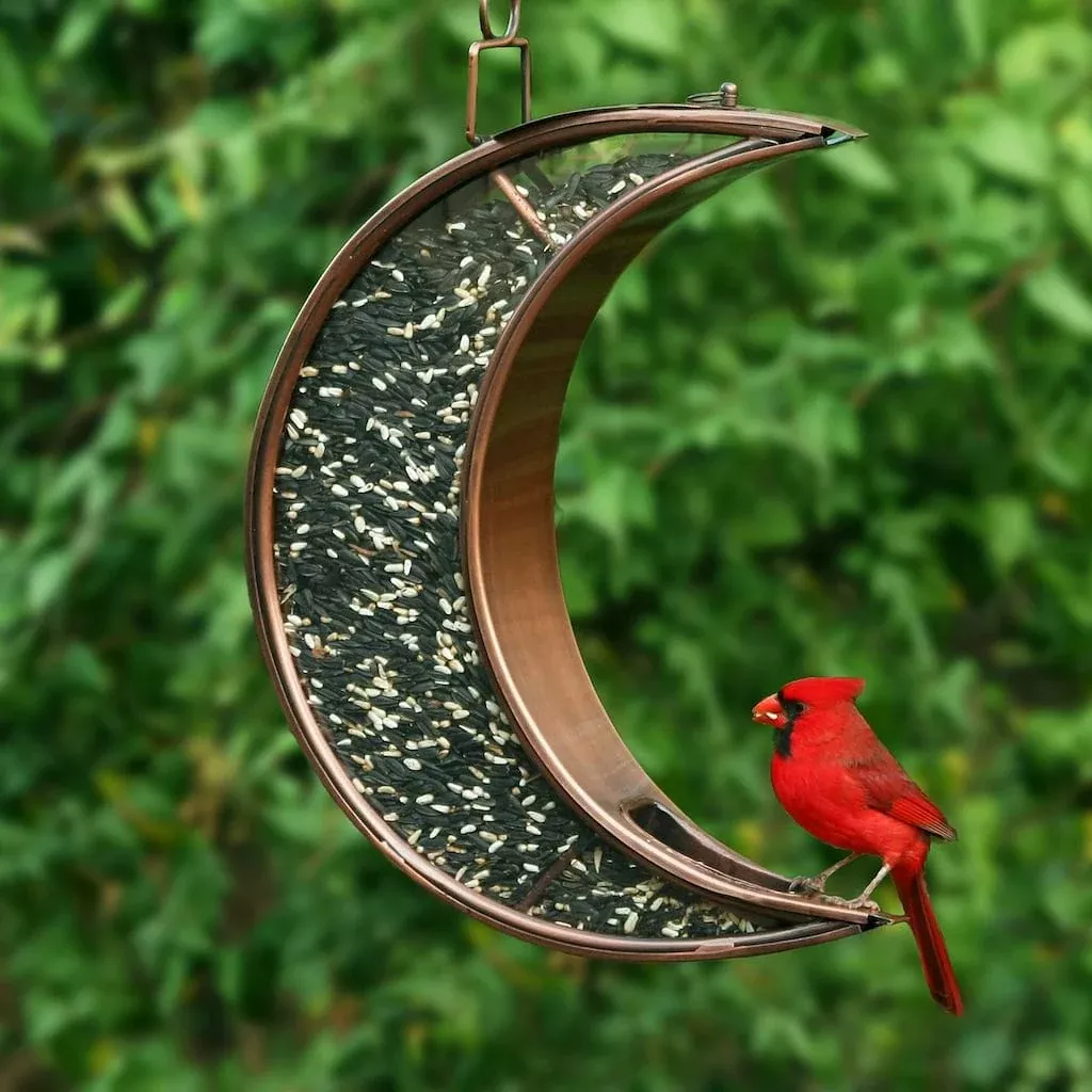 good-directions-crescent-moon-bird-feeder-in-copper-finish Good Directions Crescent Moon Bird Feeder in Copper Finish