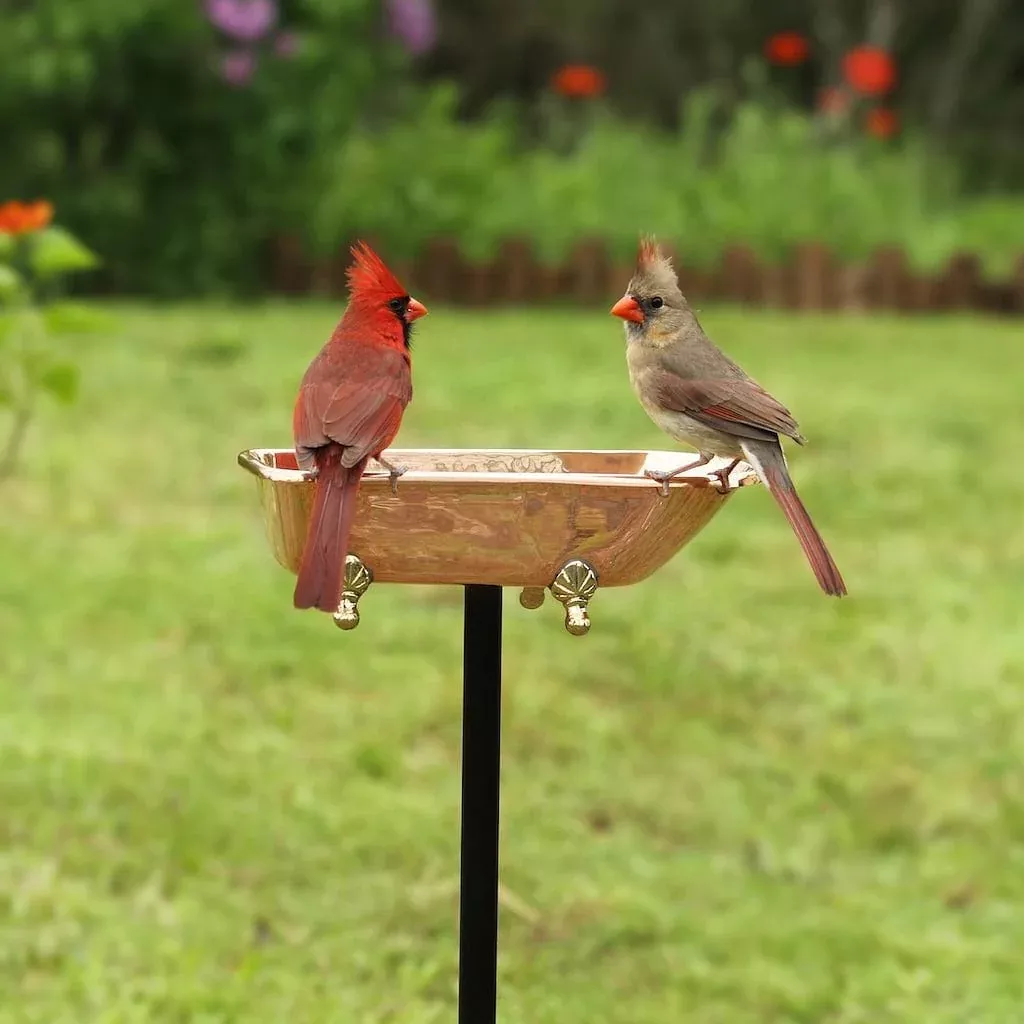 good-directions-splish-splash-birdbath-in-polished-copper Good Directions Splish Splash Birdbath in Polished Copper