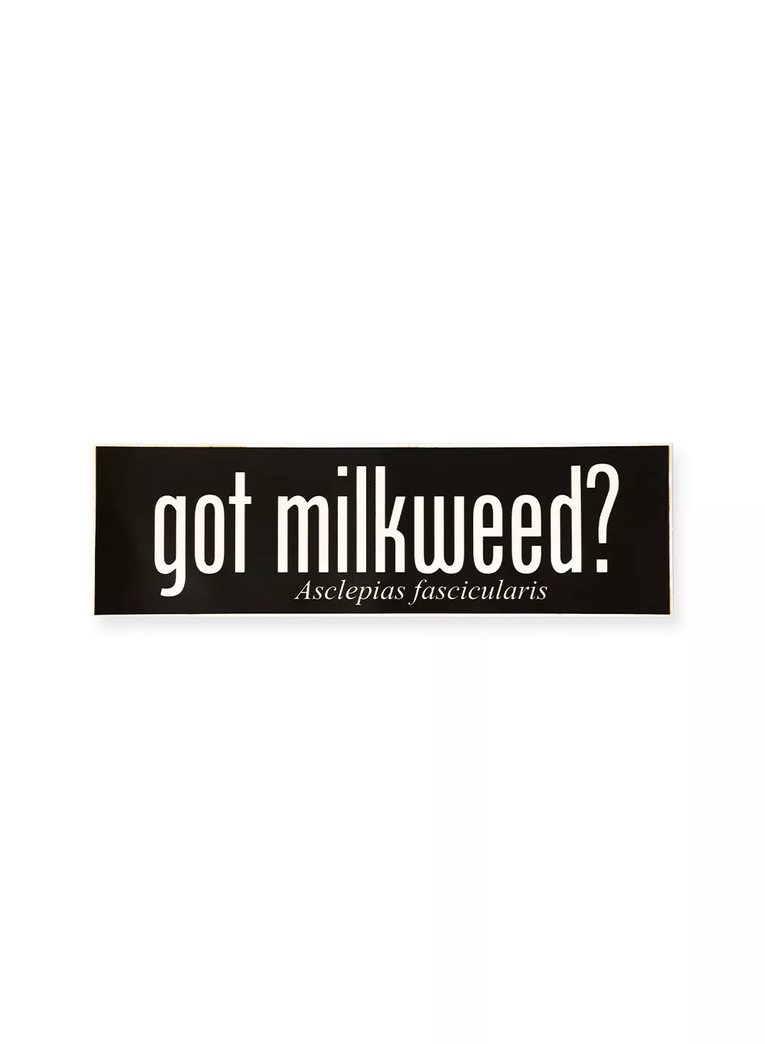 got-milkweed-bumper-sticker Got Milkweed Bumper Sticker