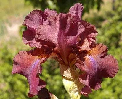 gotham-city Gotham City