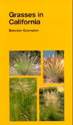 grasses-in-california Grasses in California