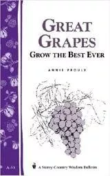 great-grapes Great Grapes