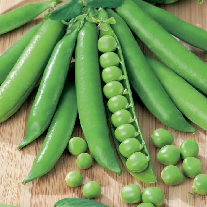 green-arrow-english-pea Green Arrow English Pea