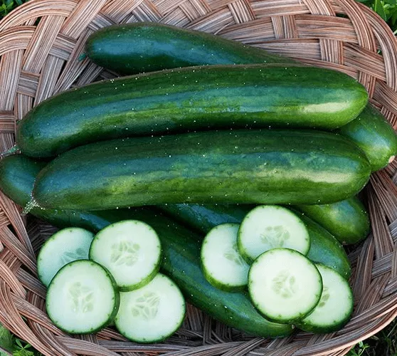 green-finger-cucumber Green Finger Cucumber