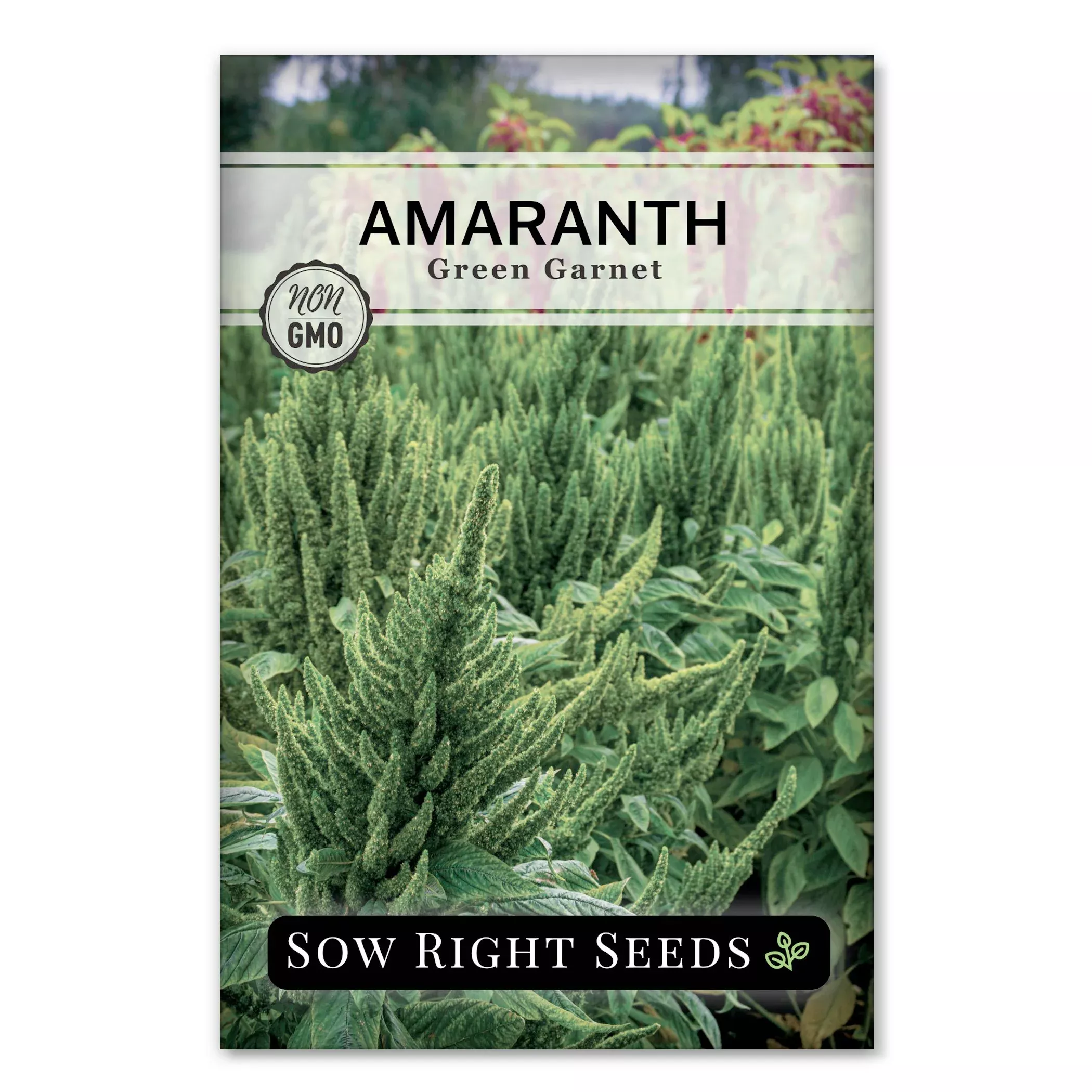 green-garnet-amaranth Green Garnet Amaranth