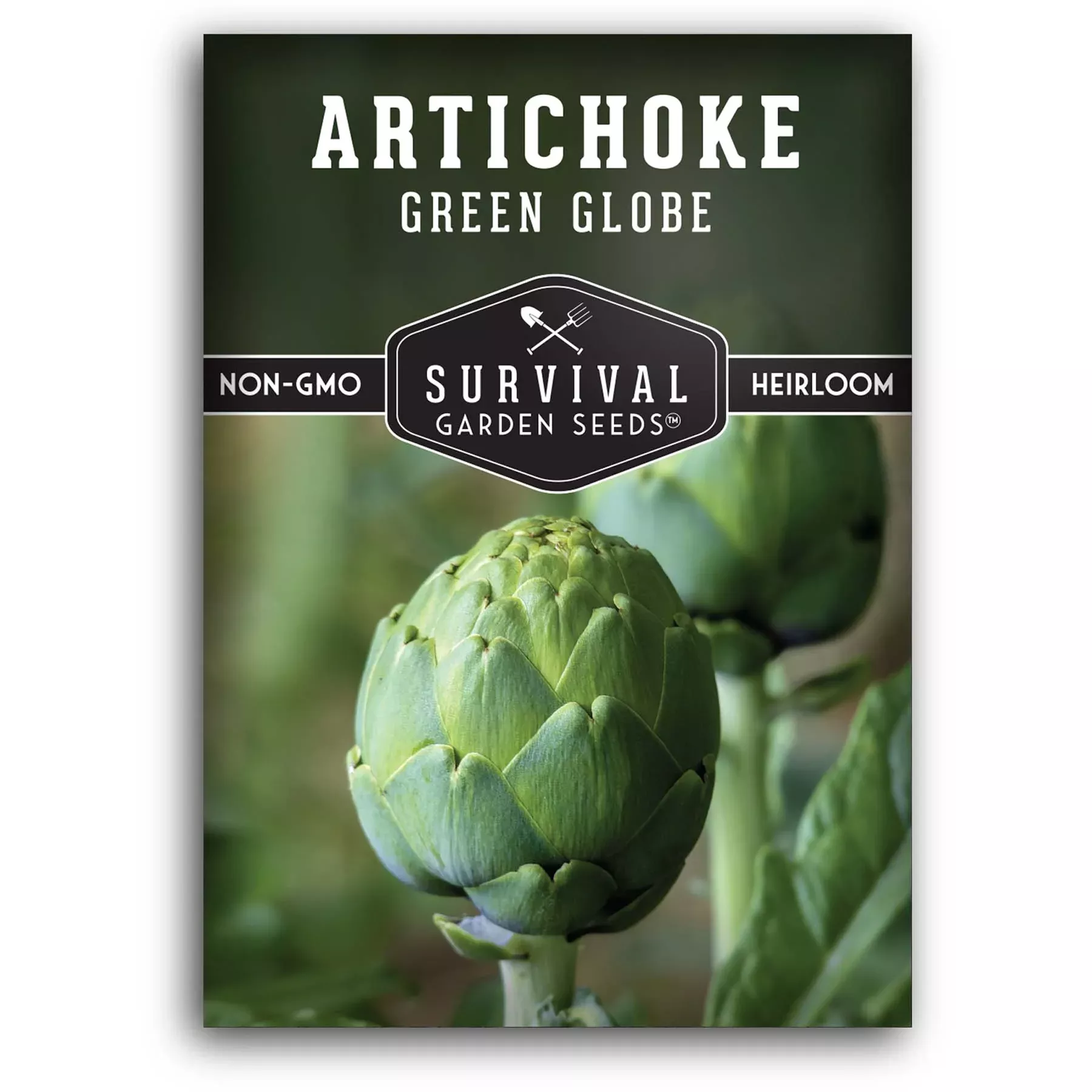 Green Globe Artichoke Seeds 2026