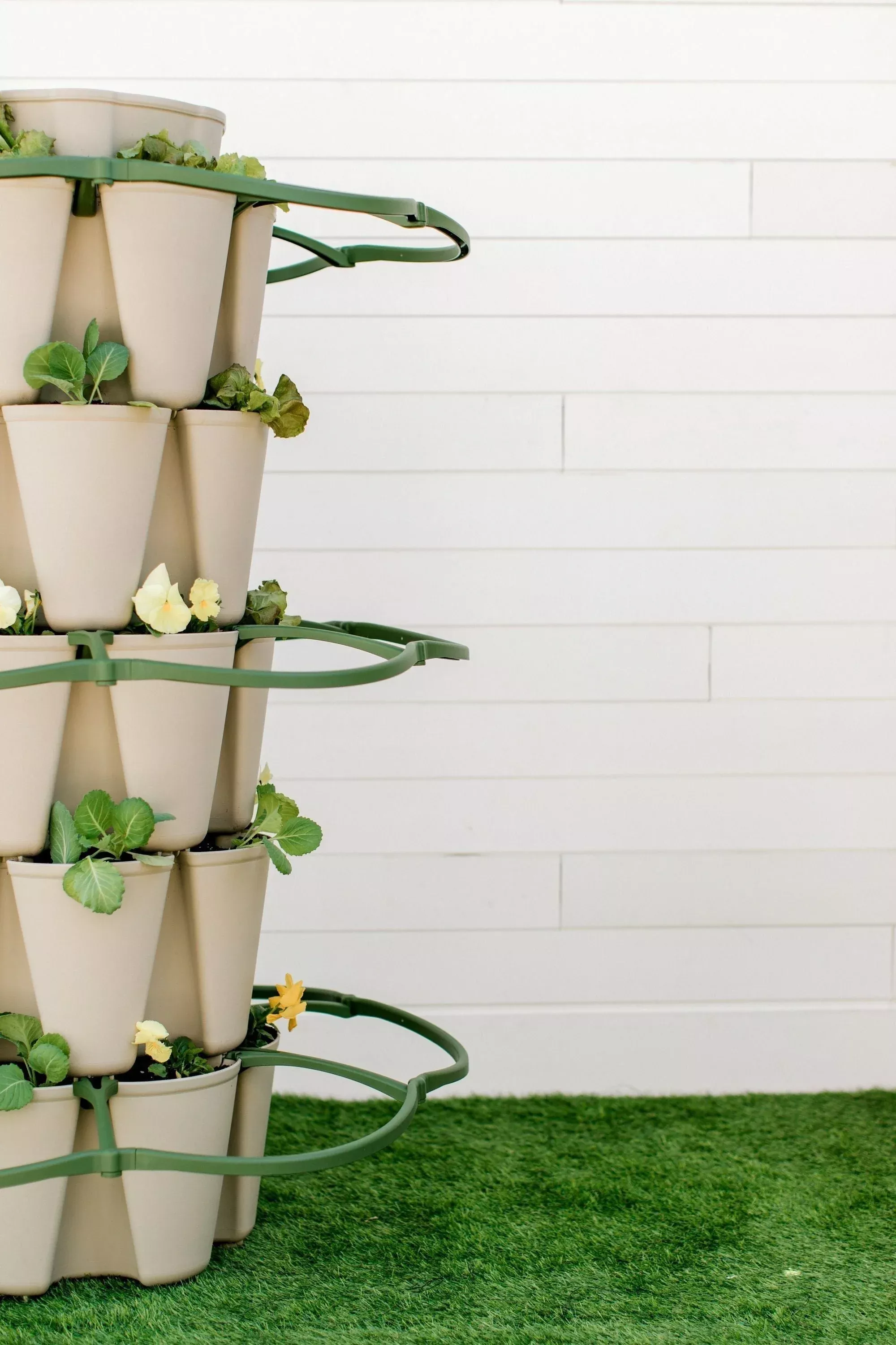 greenstalk-garden-plant-support-set-3 GreenStalk Garden Plant Support (Set of 3)