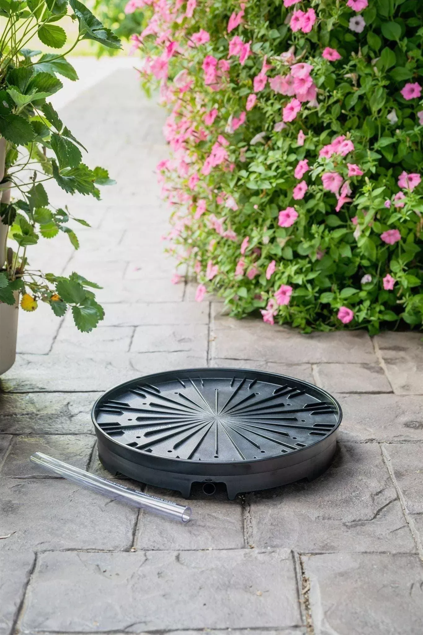greenstalk-garden-ultimate-spinner-base-only GreenStalk Garden Ultimate Spinner Base Only