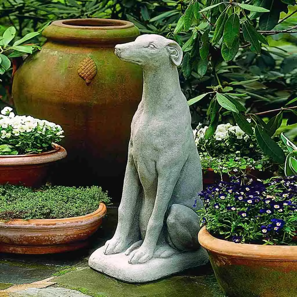 greyhound-by-campania-international Greyhound By Campania International