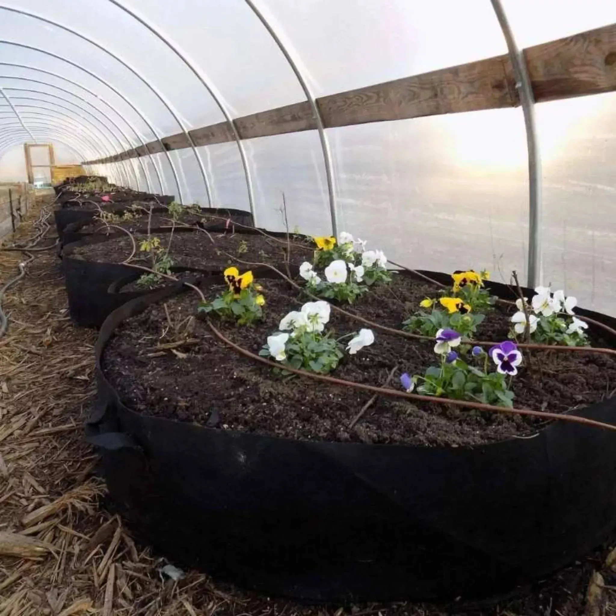 grow-bags-100-gallon Grow Bags - 100 Gallon
