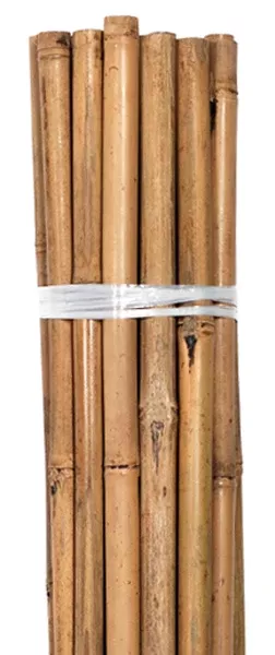 grower-s-edge-natural-bamboo-6-ft-bulk-50-pack Grower's Edge Natural Bamboo 6 ft Bulk (50/Pack)