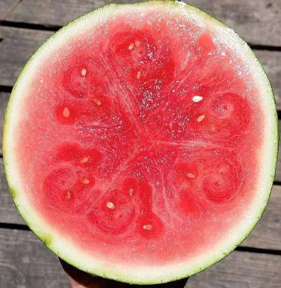 Halbert Honey Watermelon