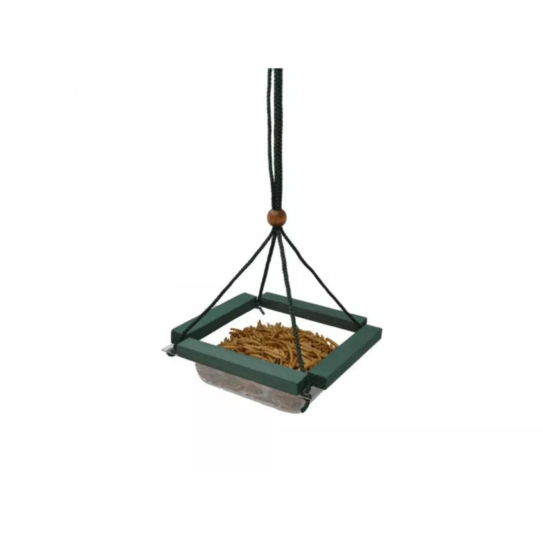 hanging-mealworm-dish-feeder Hanging Mealworm Dish Feeder