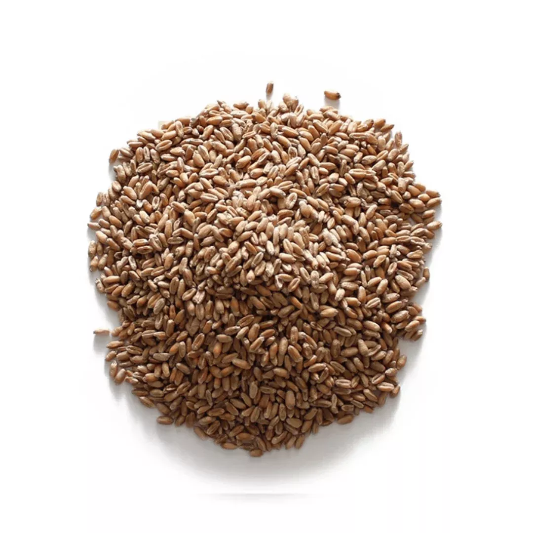 Hard Red Wheat 50lbs