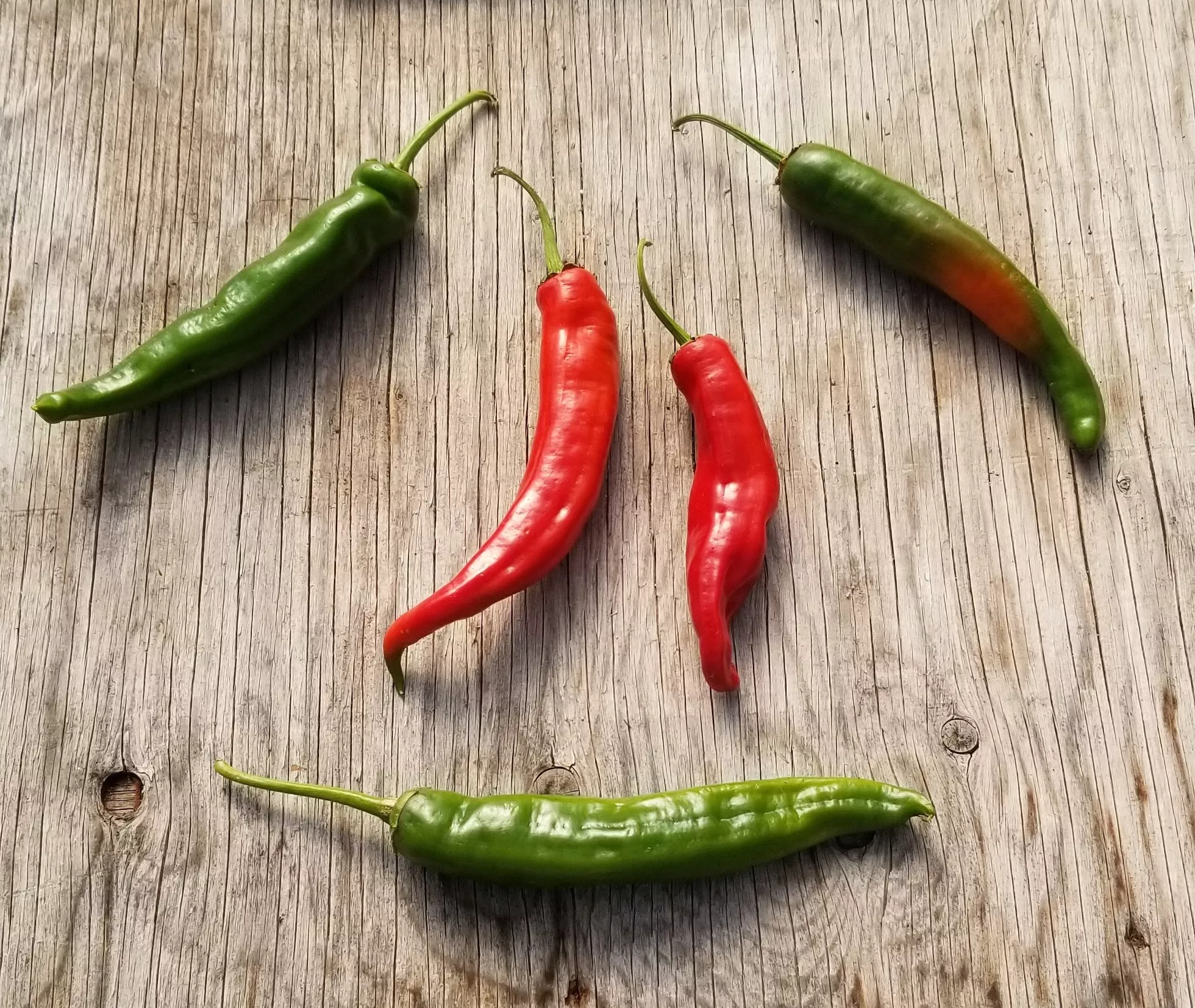 Hariali Hot Pepper