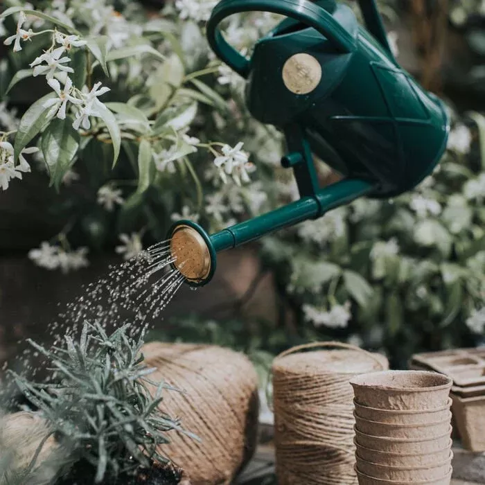 haws-bartley-burbler-watering-can Haws Bartley Burbler - Watering Can
