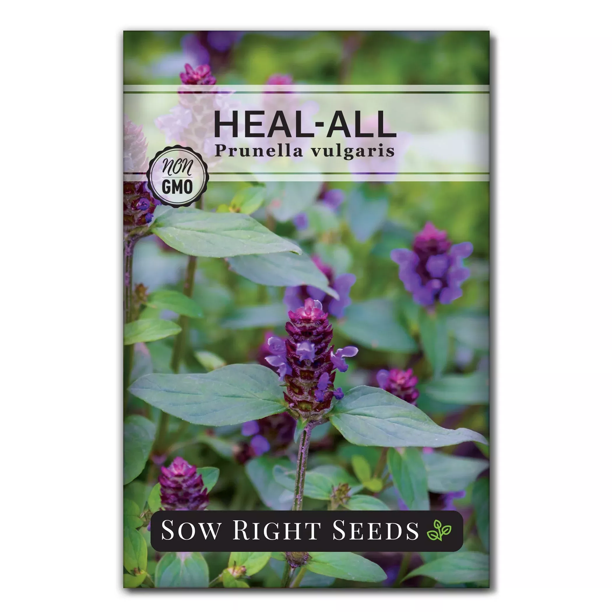 heal-all-seeds Heal-all Seeds