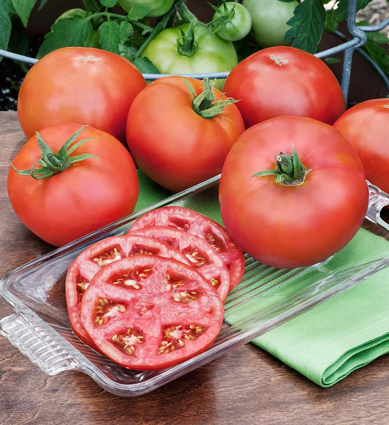 heatmaster-tomato-2-pack Heatmaster Tomato (2 Pack)