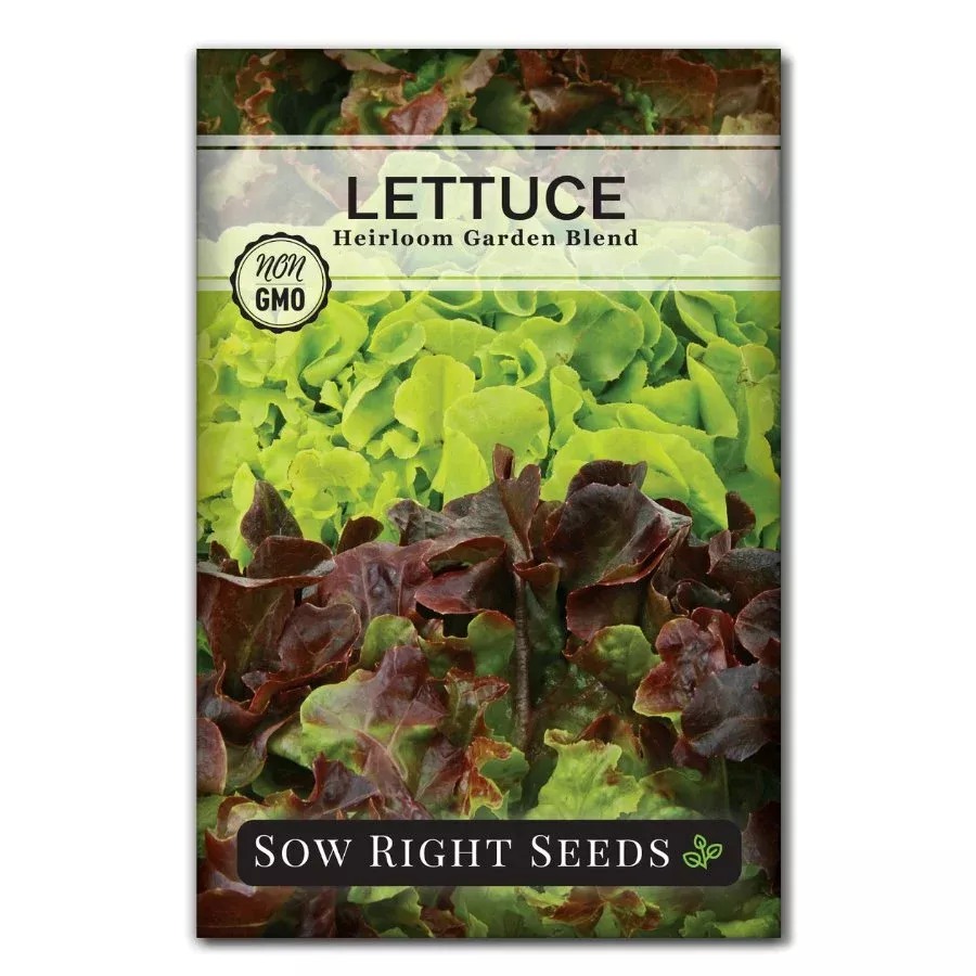 heirloom-blend-lettuce Heirloom Blend Lettuce