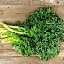 heirloom-organic-dwarf-siberian-improved-kale-seeds Heirloom Organic Dwarf Siberian Improved Kale Seeds