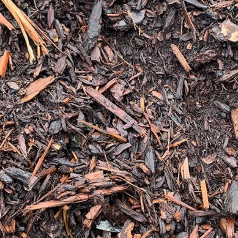 hemlock-bark-bulk Hemlock Bark (Bulk)