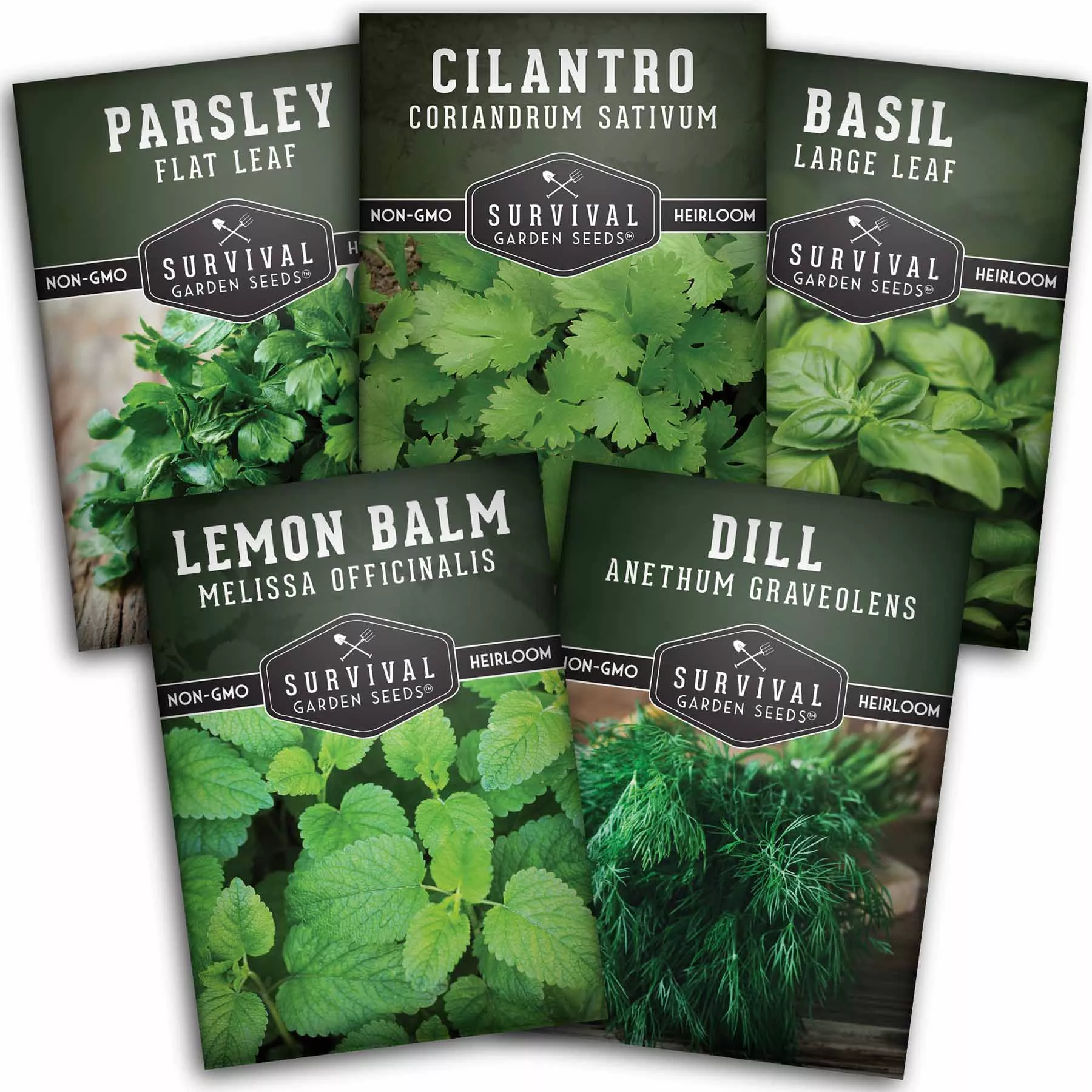 herb-seeds-variety-pack-5-essential-culinary-herbs-indoor-or-outdoor-growing-bas Herb Seeds Variety Pack – 5 Essential Culinary Herbs for Indoor or Outdoor Growing (Basil, Cilantro, Dill, Parsley & Lemon Balm) – Heirloom Non-GMO Garden Starter Kit