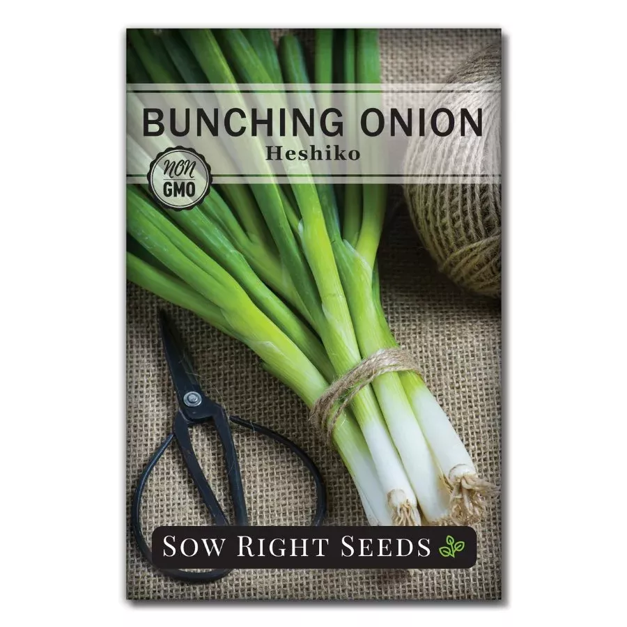 heshiko-japanese-bunching-onion-seeds Heshiko Japanese Bunching Onion Seeds