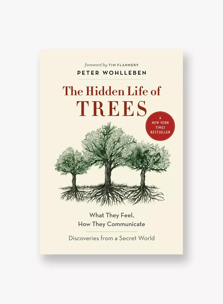 The Hidden Life of Trees - Hardcover