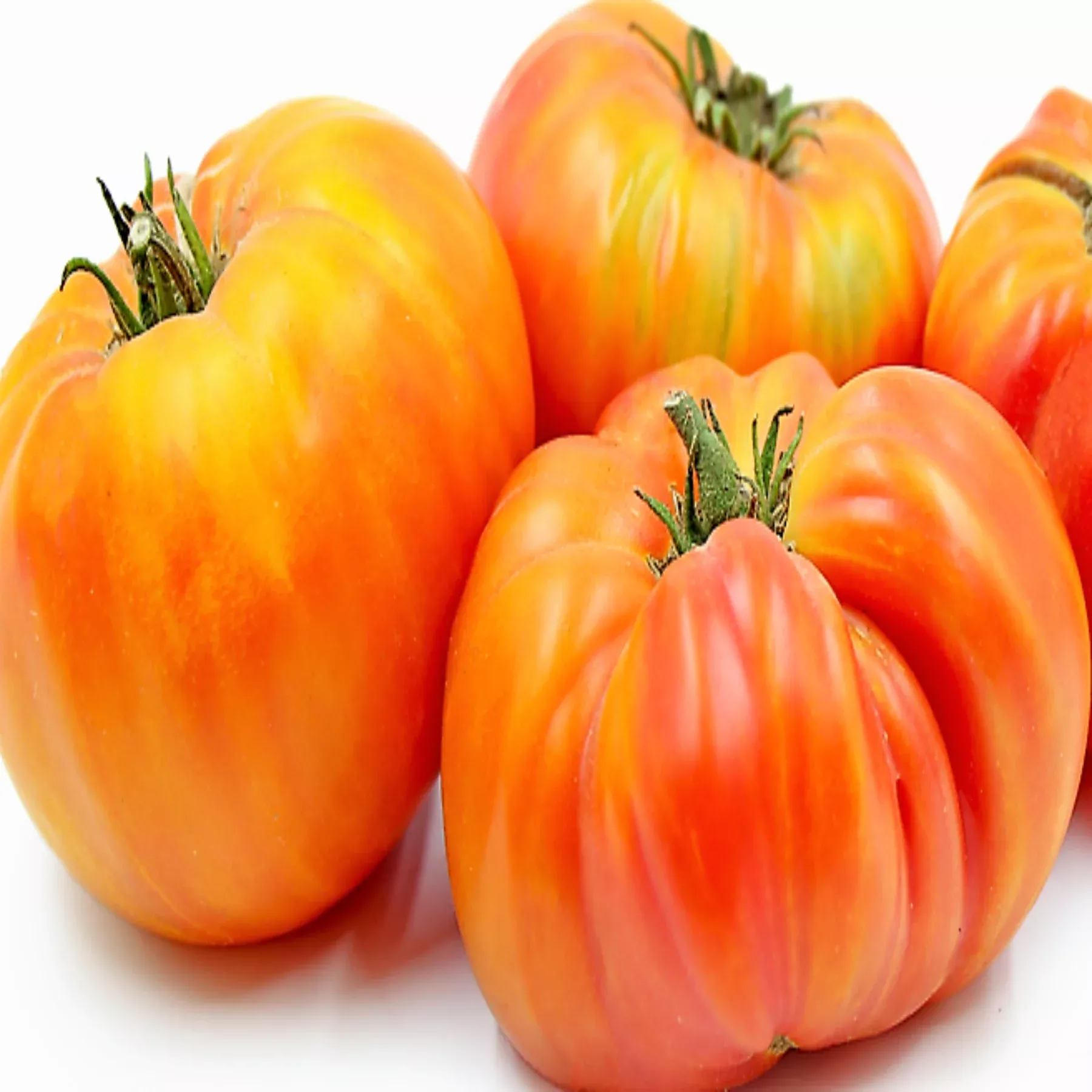 hillbilly-west-virginia-heirloom-tomato-seeds Hillbilly West Virginia Heirloom Tomato Seeds