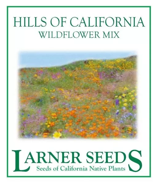 hills-california-wildflower-mix Hills of California Wildflower Mix