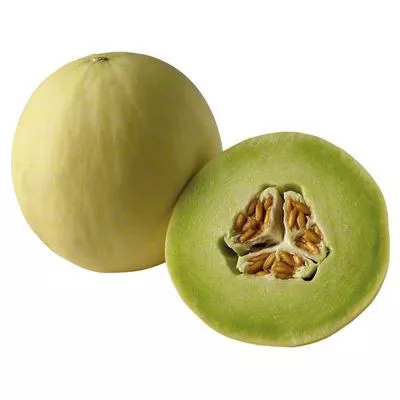 Honey Dew Melon