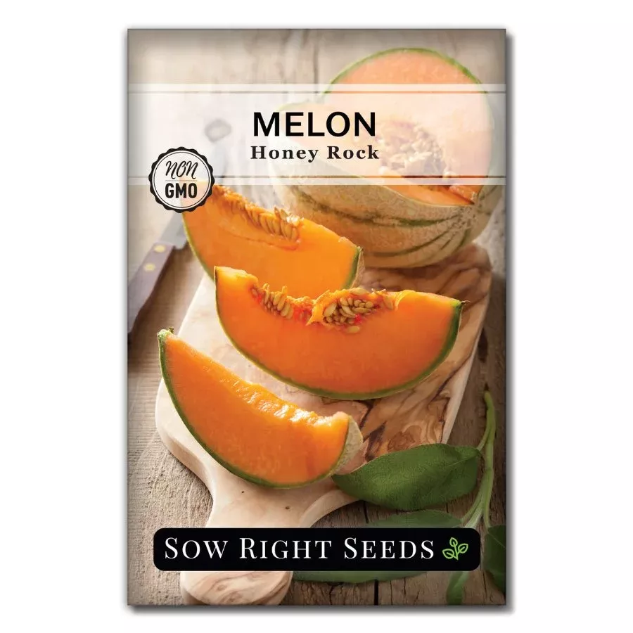 honey-rock-melon Honey Rock Melon