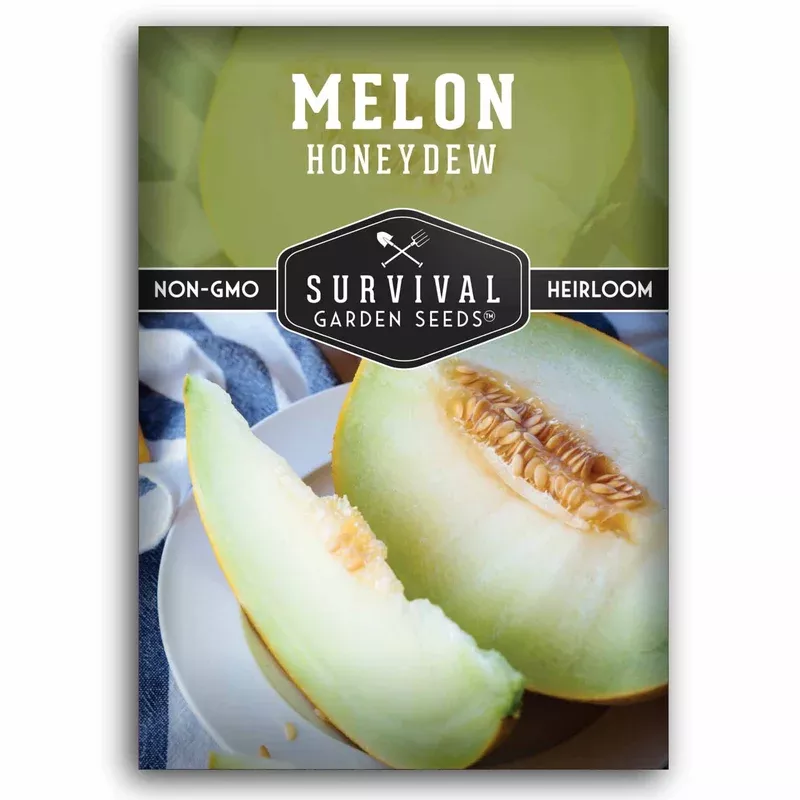 honeydew-melon-seeds-sweet-crisp-green-fleshed-melons-hot-climate-summer-gardens Honeydew Melon Seeds – Sweet, Crisp Green-Fleshed Melons for Hot-Climate Summer Gardens