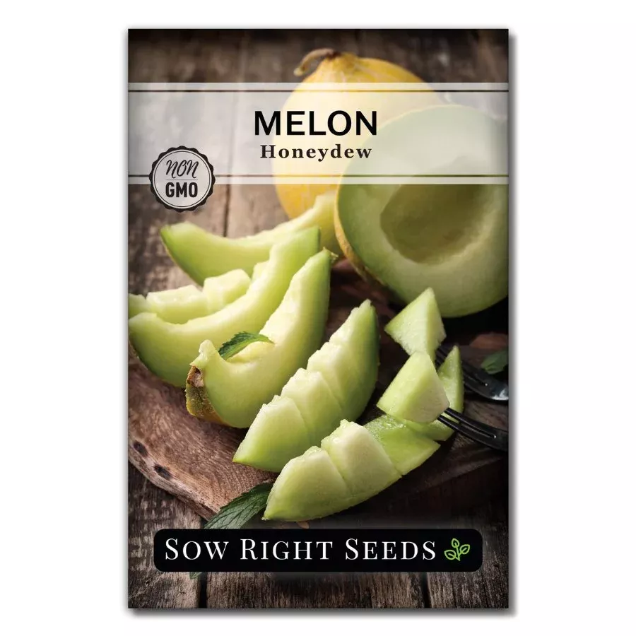 honeydew-melon Honeydew Melon