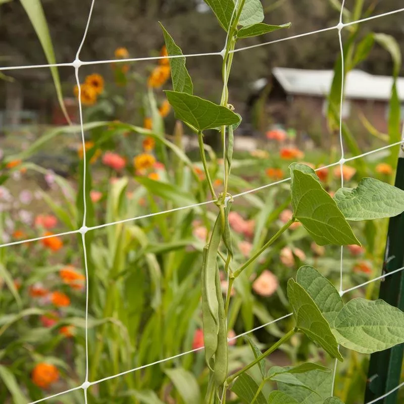 hortonova-trellis-6-1-2-x-50 Hortonova Trellis (6 1/2' x 50')
